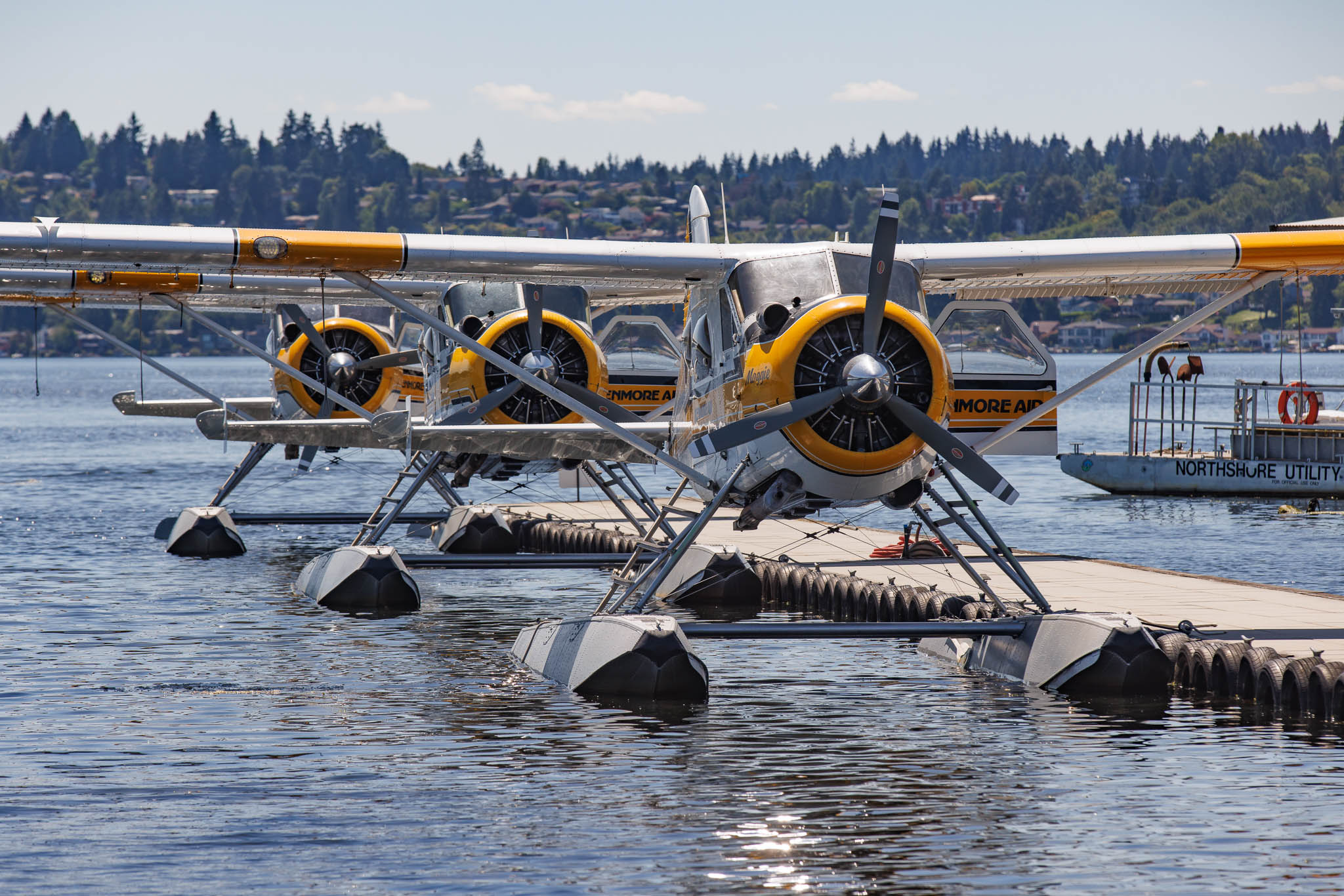 Seaplanes Washington