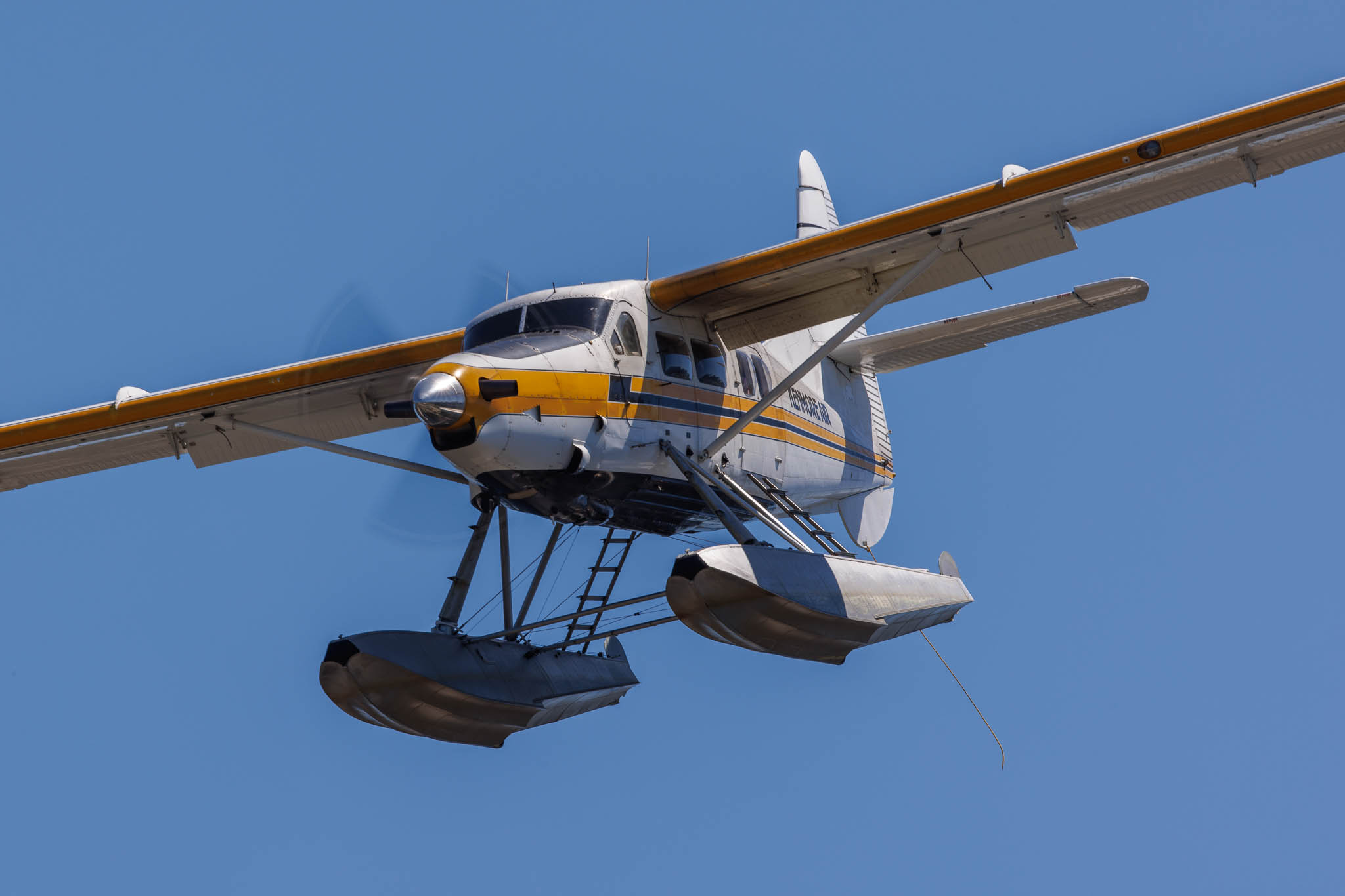 Seaplanes Washington