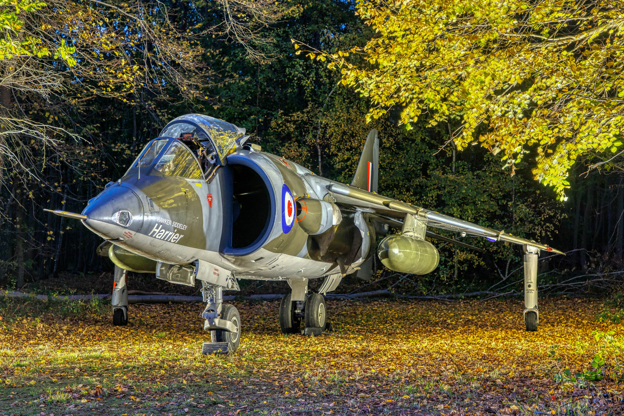 Harrier Heritage Centre