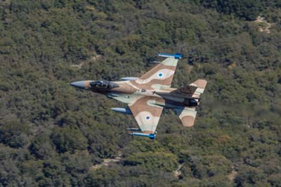 Low level flying Iniochos 2019